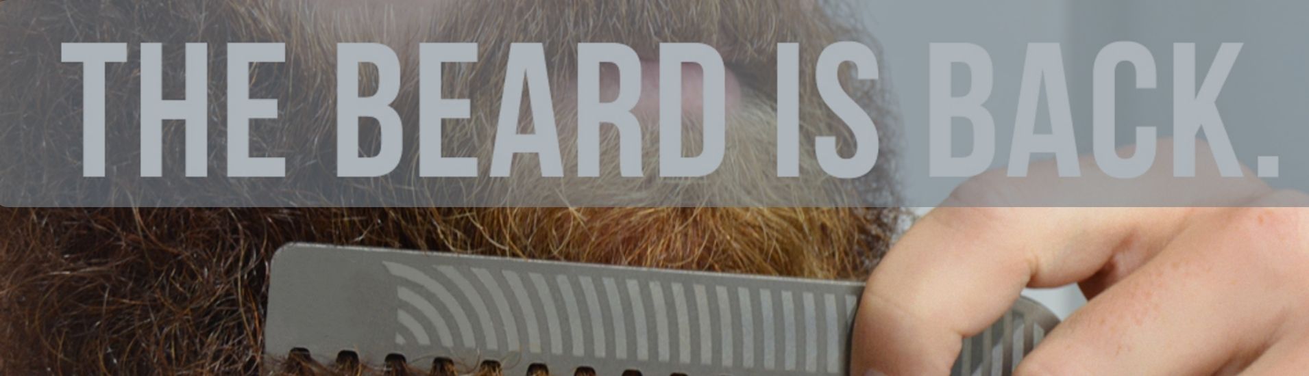 beard-brush-banner
